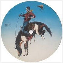 The Roys : Kicked Off The Train (LP)