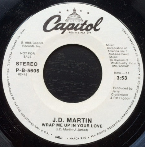 J.D. Martin : Wrap Me Up In Your Love (7", Single, Promo)
