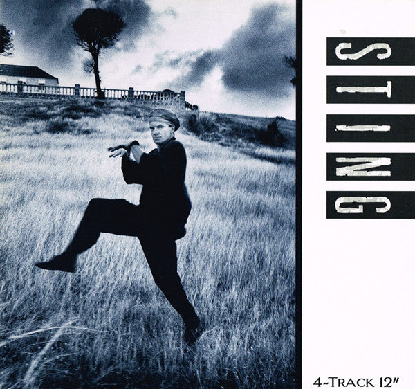 Sting : If You Love Somebody Set Them Free (12", Single)
