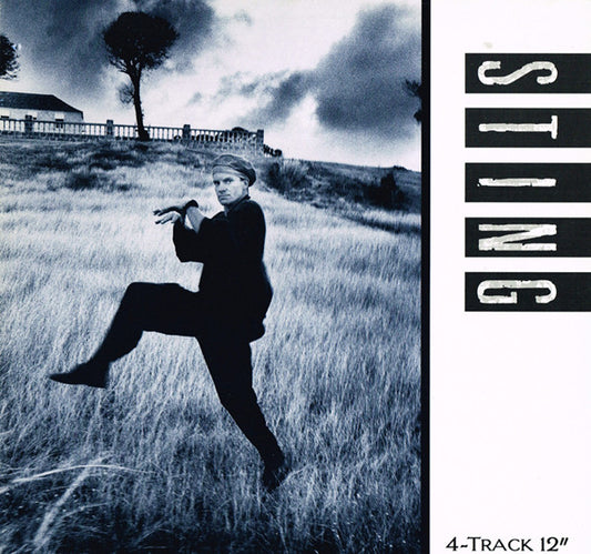 Sting : If You Love Somebody Set Them Free (12", Single)