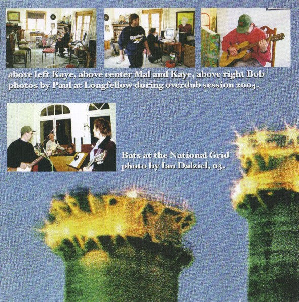 The Bats : At The National Grid (CD, Album)