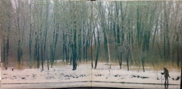 Bruce Cockburn : High Winds White Sky (LP, Album, Gat)
