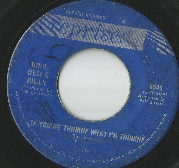Dino, Desi & Billy : If You're Thinkin' What I'm Thinkin' / Pretty Flamingo (7")
