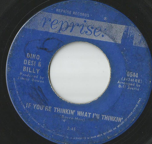 Dino, Desi & Billy : If You're Thinkin' What I'm Thinkin' / Pretty Flamingo (7")