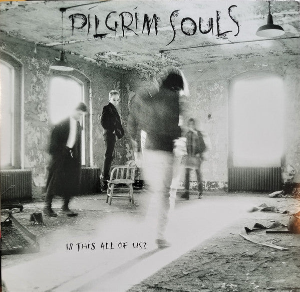 Pilgrim Souls : Is This All Of Us? (LP, Album)