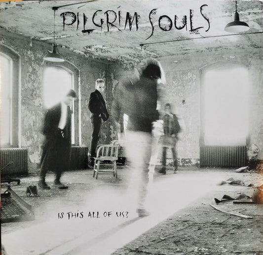 Pilgrim Souls : Is This All Of Us? (LP, Album)