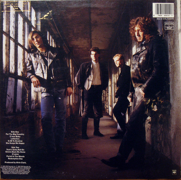 Pilgrim Souls : Is This All Of Us? (LP, Album)