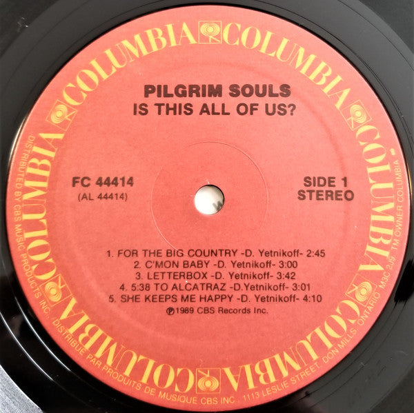Pilgrim Souls : Is This All Of Us? (LP, Album)