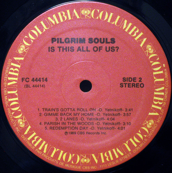 Pilgrim Souls : Is This All Of Us? (LP, Album)