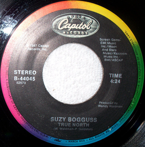 Suzy Bogguss : Love Will Never Slip Away (7")