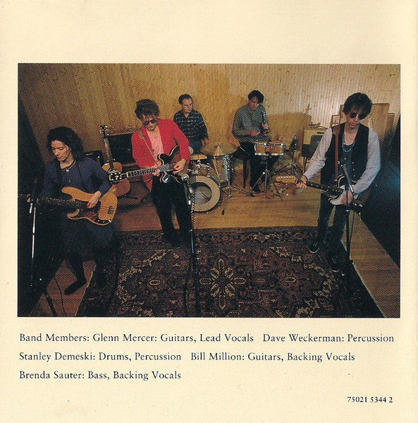 The Feelies : Time For A Witness (CD, Album)