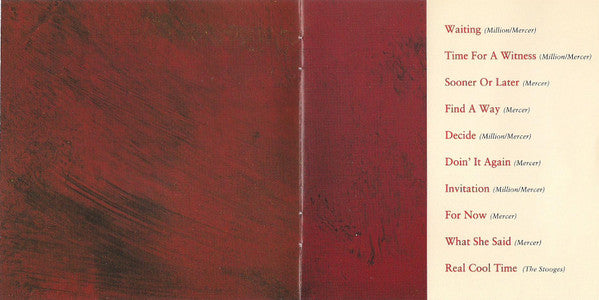 The Feelies : Time For A Witness (CD, Album)