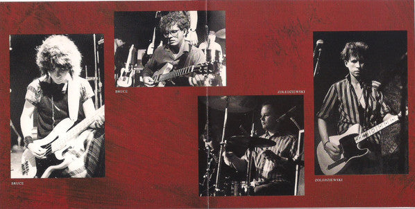 The Feelies : Time For A Witness (CD, Album)
