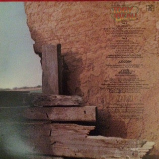 Toby Beau : More Than A Love Song (LP, Album)