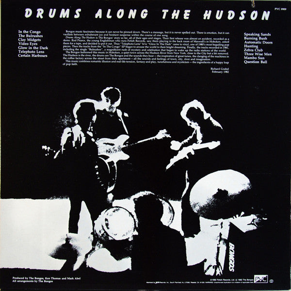 The Bongos : Drums Along The Hudson (LP, Album)
