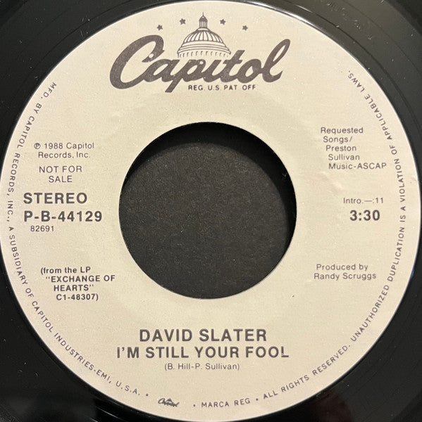 David Slater : I'm Still Your Fool (7", Promo)
