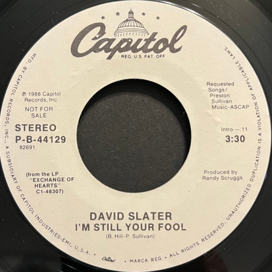 David Slater : I'm Still Your Fool (7", Promo)
