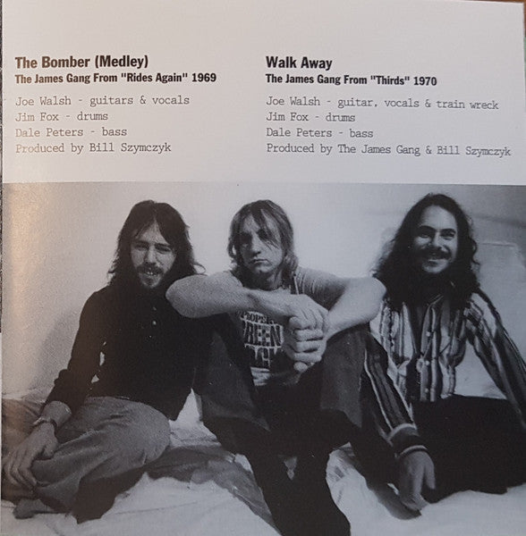 Joe Walsh : Joe Walsh's Greatest Hits: Little Did He Know... (CD, Comp, RM)