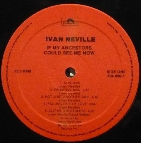 Ivan Neville : If My Ancestors Could See Me Now (LP, Album)