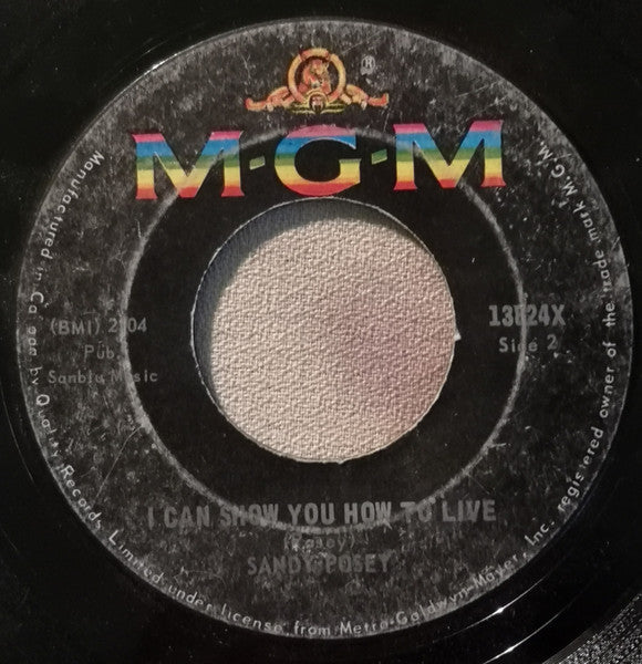 Sandy Posey : Are You Never Coming Home (7", Single)