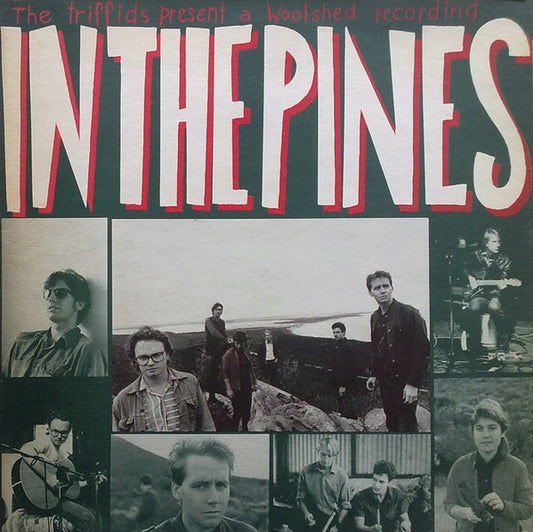 The Triffids : In The Pines (LP, Album)