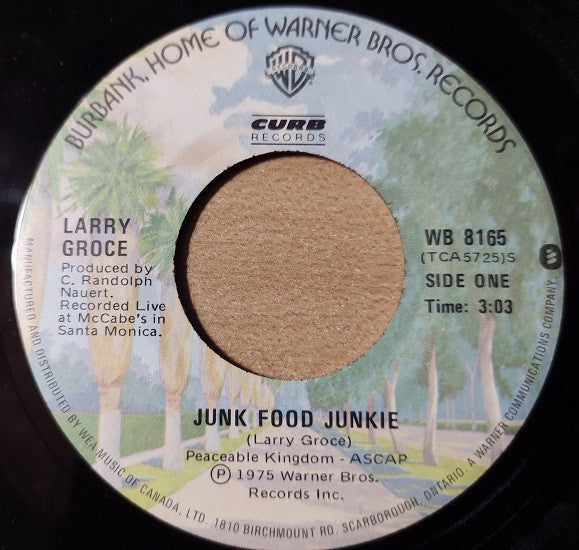 Larry Groce : Junk Food Junkie (7")
