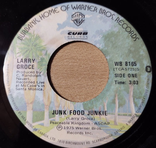 Larry Groce : Junk Food Junkie (7")