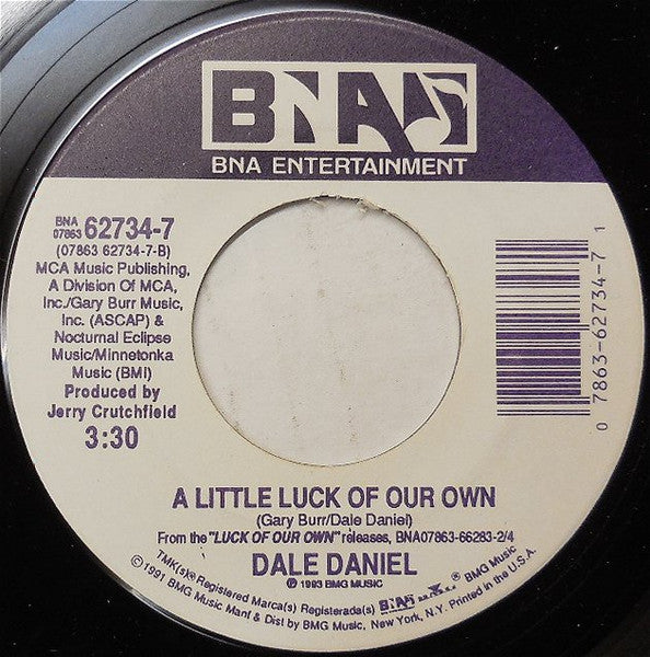 Dale Daniel : You Gave Her Your Name (7", Single)