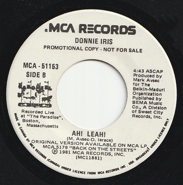 Donnie Iris : The Rapper (7", Promo)